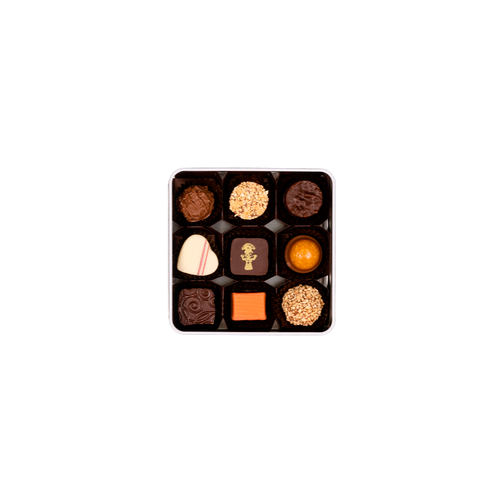 Blechdose Zug Pralinés & Truffes (9 Stk.)