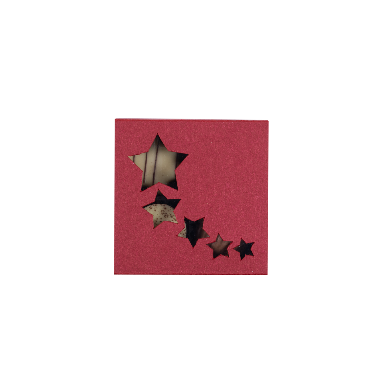 Weihnachtsschachtel mit Pralinés & Truffes (4 Stk.)