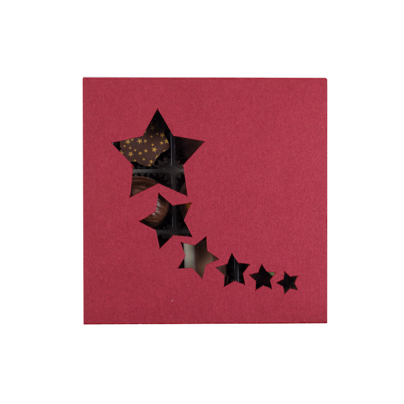 Weihnachtsschachtel mit Pralinés & Truffes (9 Stk.)